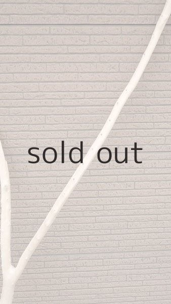 画像4: 幹流木 (4)