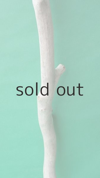 画像4: 枝流木 (4)