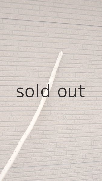 画像5: 幹流木 (5)