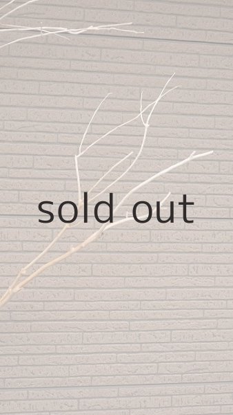 画像6: 幹流木・長尺 (6)