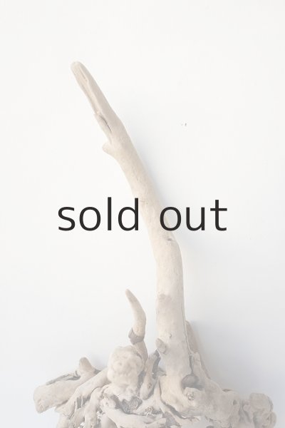 画像4: 流木根 (4)