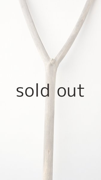 画像3: 枝流木 (3)