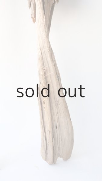 画像5: 変形流木 (5)