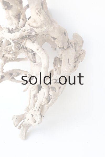 画像2: 流木根 (2)