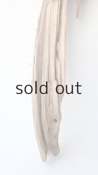 画像2: 変形流木 (2)