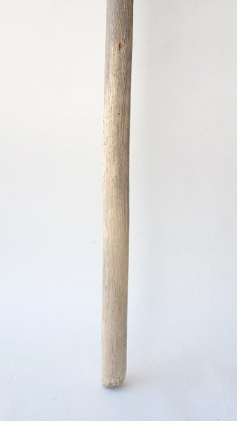 画像2: 枝流木 (2)