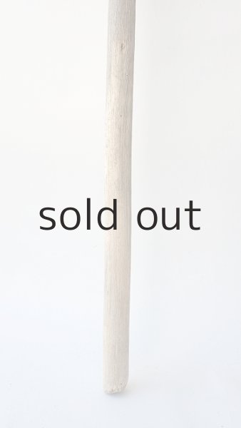 画像2: 枝流木 (2)