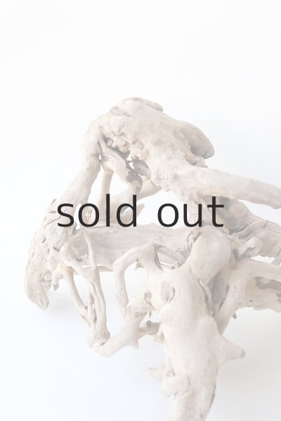 画像9: 流木根 (9)