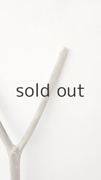 画像5: 枝流木 (5)