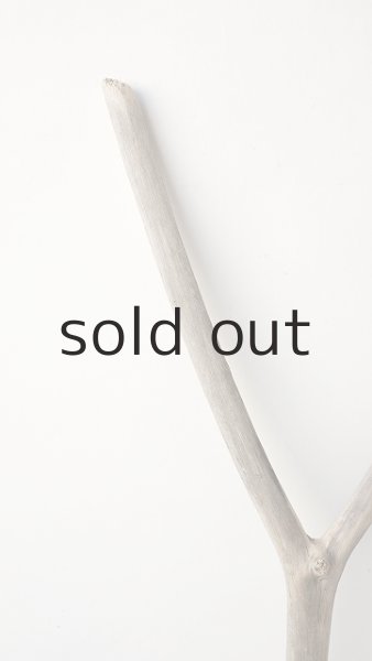 画像4: 枝流木 (4)