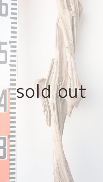 画像6: 変形流木 (6)