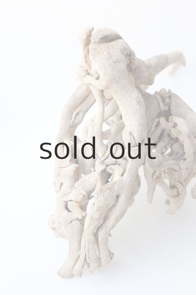 画像10: 流木根 (10)