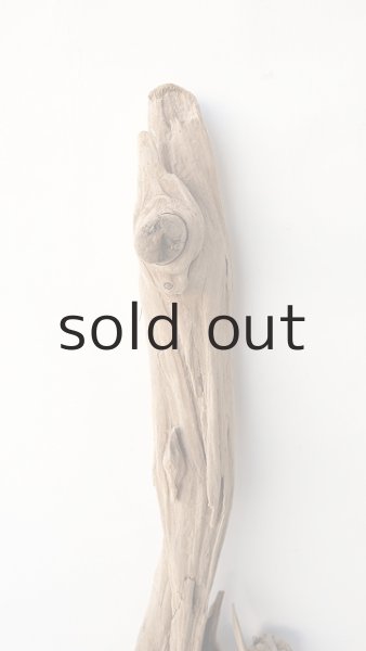 画像4: 変形流木 (4)