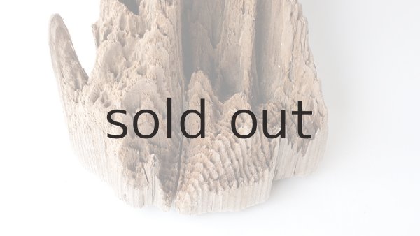 画像2: 中型　変形 (2)