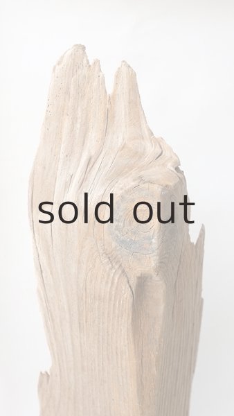 画像7: 中型　変形 (7)