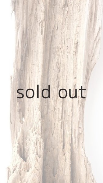 画像3: 中型　変形 (3)