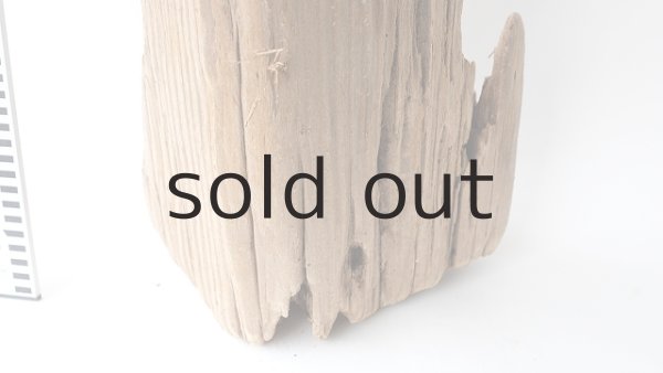 画像5: 中型　変形 (5)