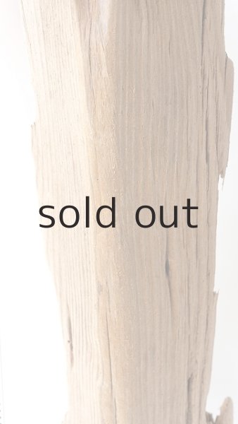 画像6: 中型　変形 (6)