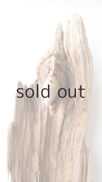 画像4: 中型　変形 (4)