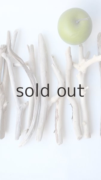 画像3: 小枝流木セット (3)