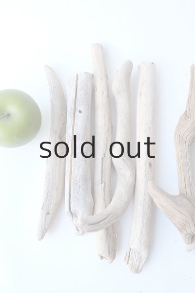 画像2: 小枝流木セット (2)