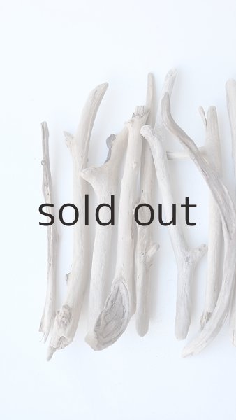 画像2: 小枝流木セット (2)