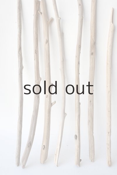 画像2: 棒流木セット (2)