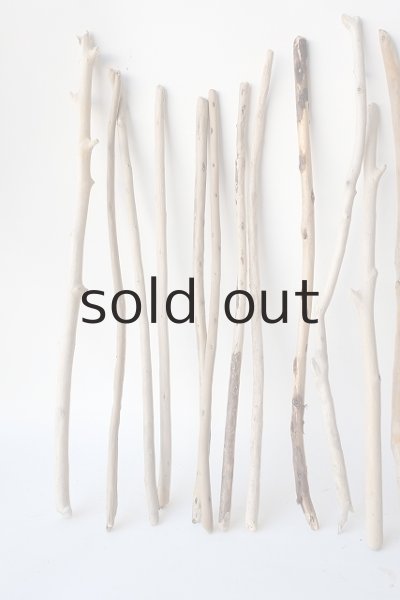 画像2: 棒流木セット (2)