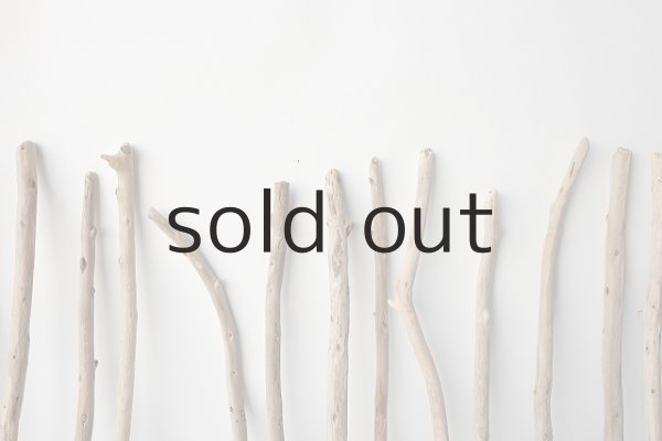 画像6: 棒流木セット (6)