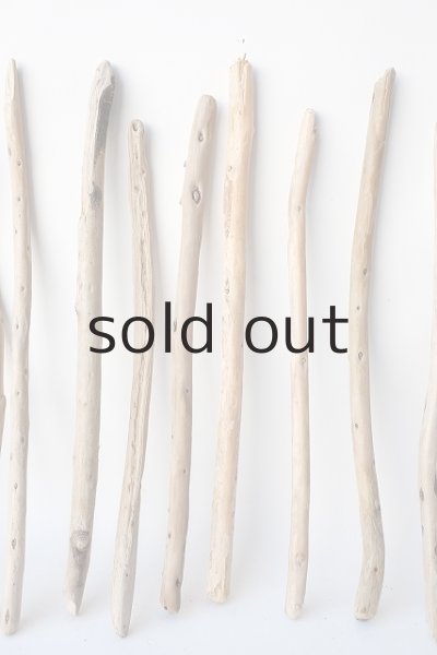 画像3: 棒流木セット (3)