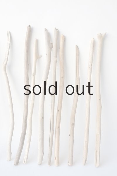 画像4: 棒流木セット (4)