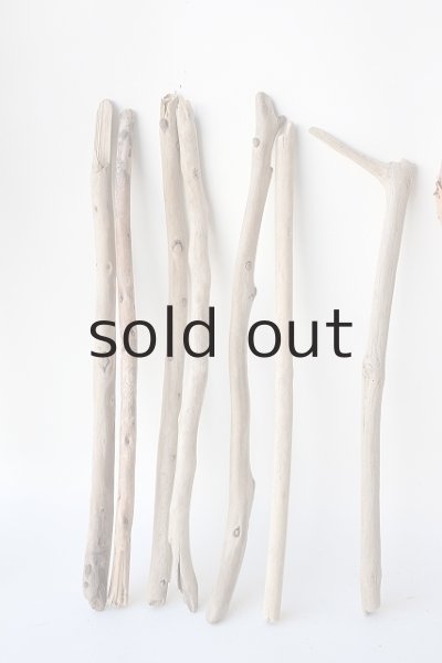 画像2: 棒流木セット (2)