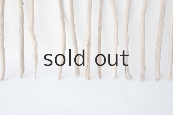 画像5: 棒流木セット (5)