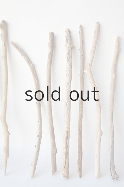 画像3: 棒流木セット (3)