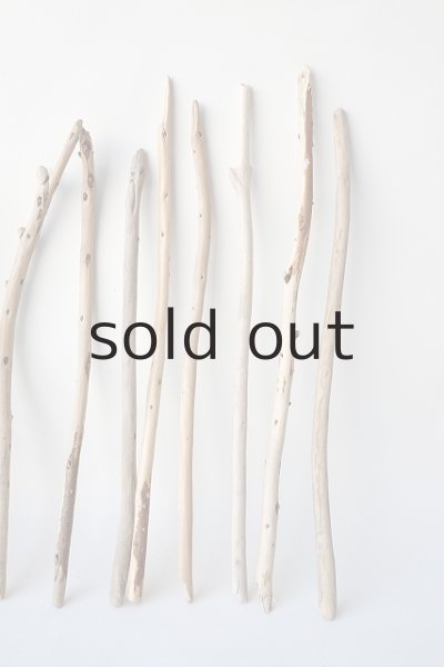 画像4: 棒流木セット (4)