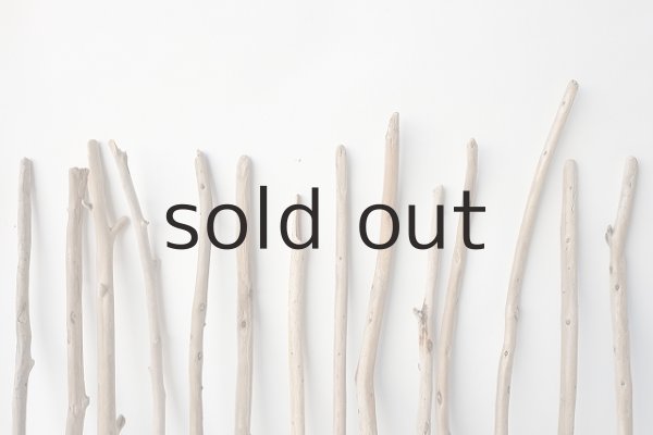 画像6: 棒流木セット (6)