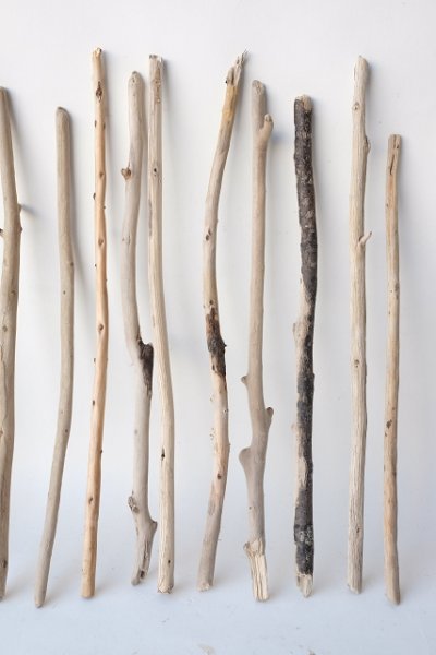 画像3: 棒流木セット (3)