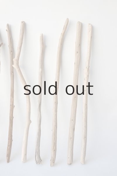 画像4: 棒流木セット (4)