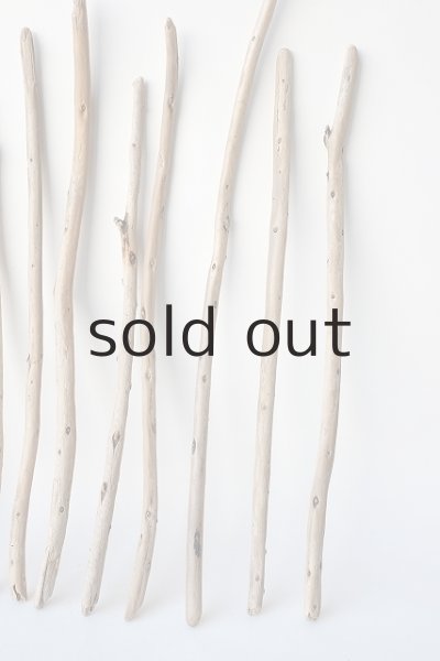 画像4: 棒流木セット (4)