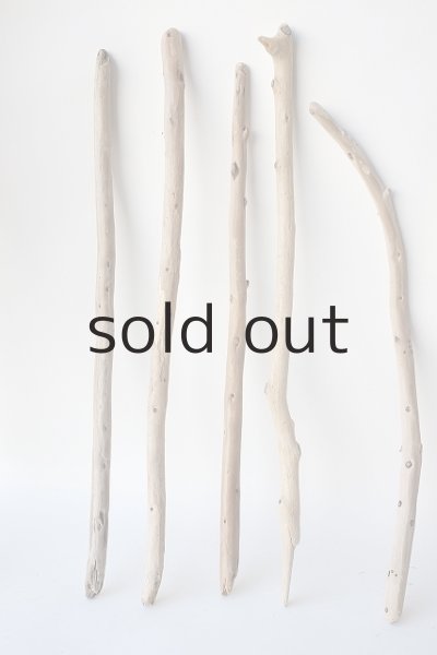 画像2: 棒流木セット (2)