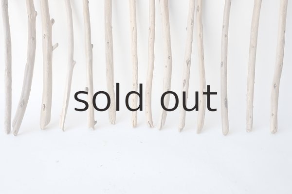 画像5: 棒流木セット (5)