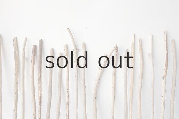 画像6: 棒流木セット (6)