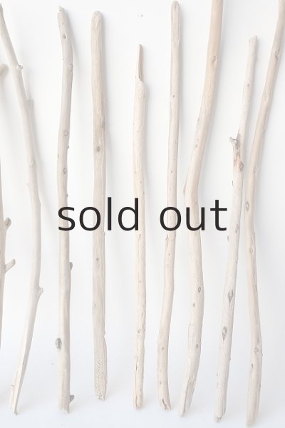 画像3: 棒流木セット (3)