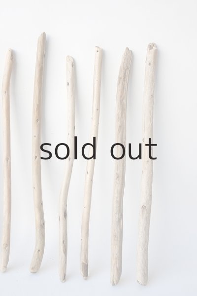 画像4: 棒流木セット (4)