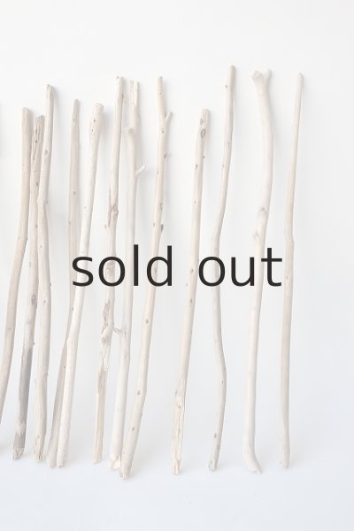 画像4: 棒流木セット (4)