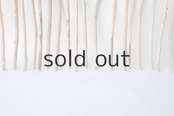 画像5: 棒流木セット (5)