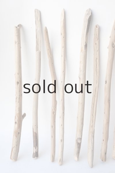 画像2: 棒流木セット (2)