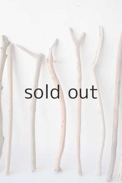 画像3: 棒流木セット (3)