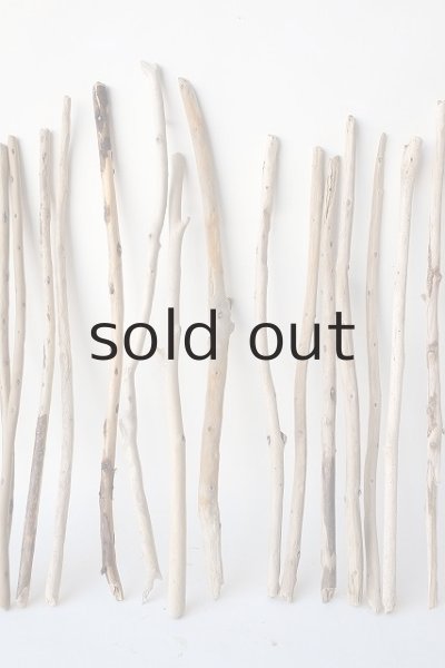 画像3: 棒流木セット (3)