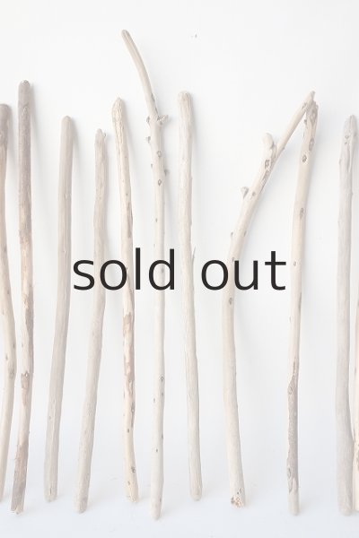 画像3: 棒流木セット (3)